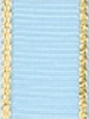 Light Blue Light Blue