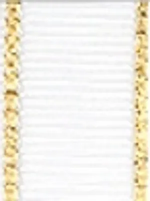 White White