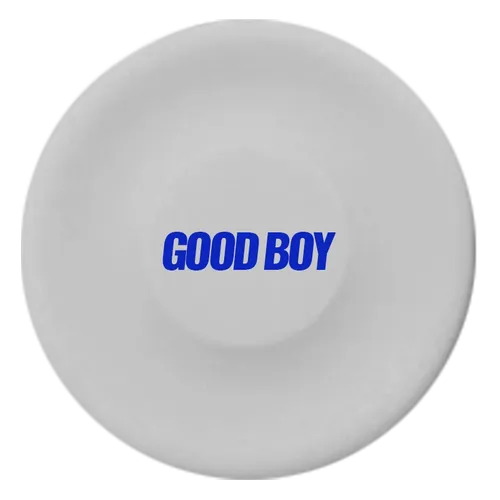 White - Lapel Pin Now